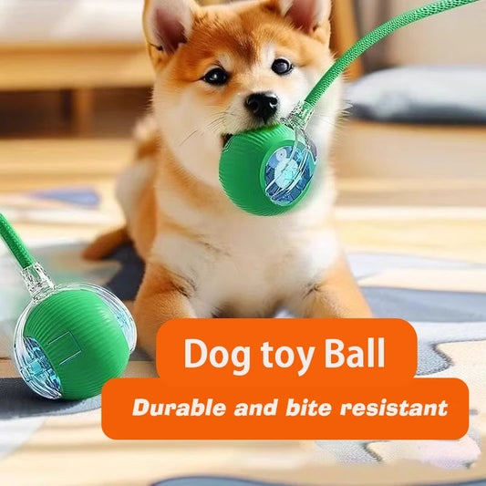 Smart Interactive Dog Ball – Automatic Rolling Rechargeable Toy