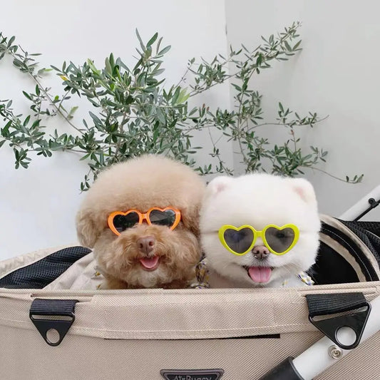 Pet Eye-Wear – Stylish Pet Sunglasses for Parties & Photoshoots