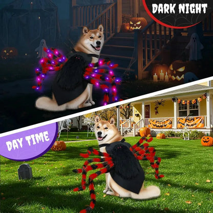Luminous Pet Spider Halloween Costume
