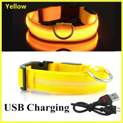 LED Dog Collar – Adjustable Rechargeable Glowing Night Safety Collar