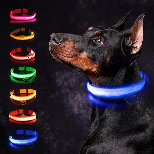 LED Dog Collar – Adjustable Rechargeable Glowing Night Safety Collar
