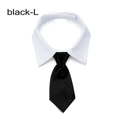 Pet  Formal Necktie