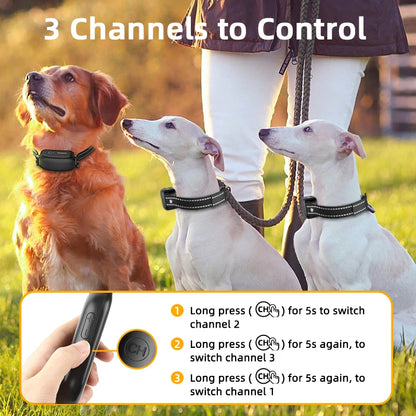 Dog Training Collar – Rechargeable Remote Control & IPX7 Waterproof