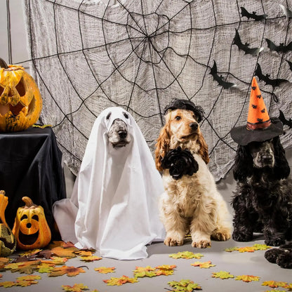 Pet Halloween Ghost Costume