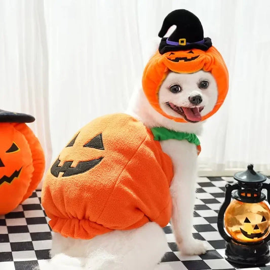 Halloween Pumpkin Costume for Dogs & Cats – Funny Outfit with Hat