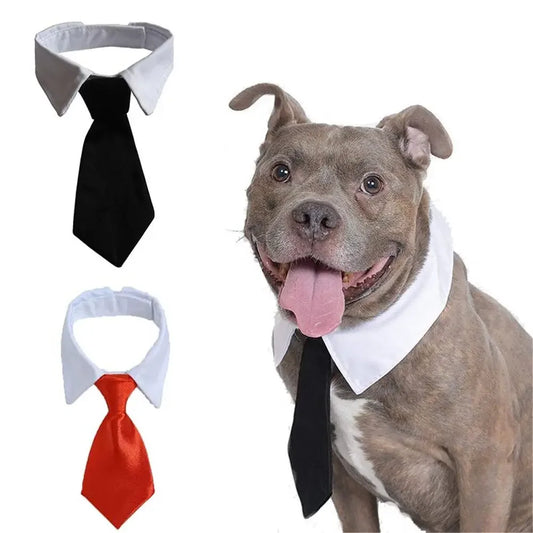 Pet  Formal Necktie