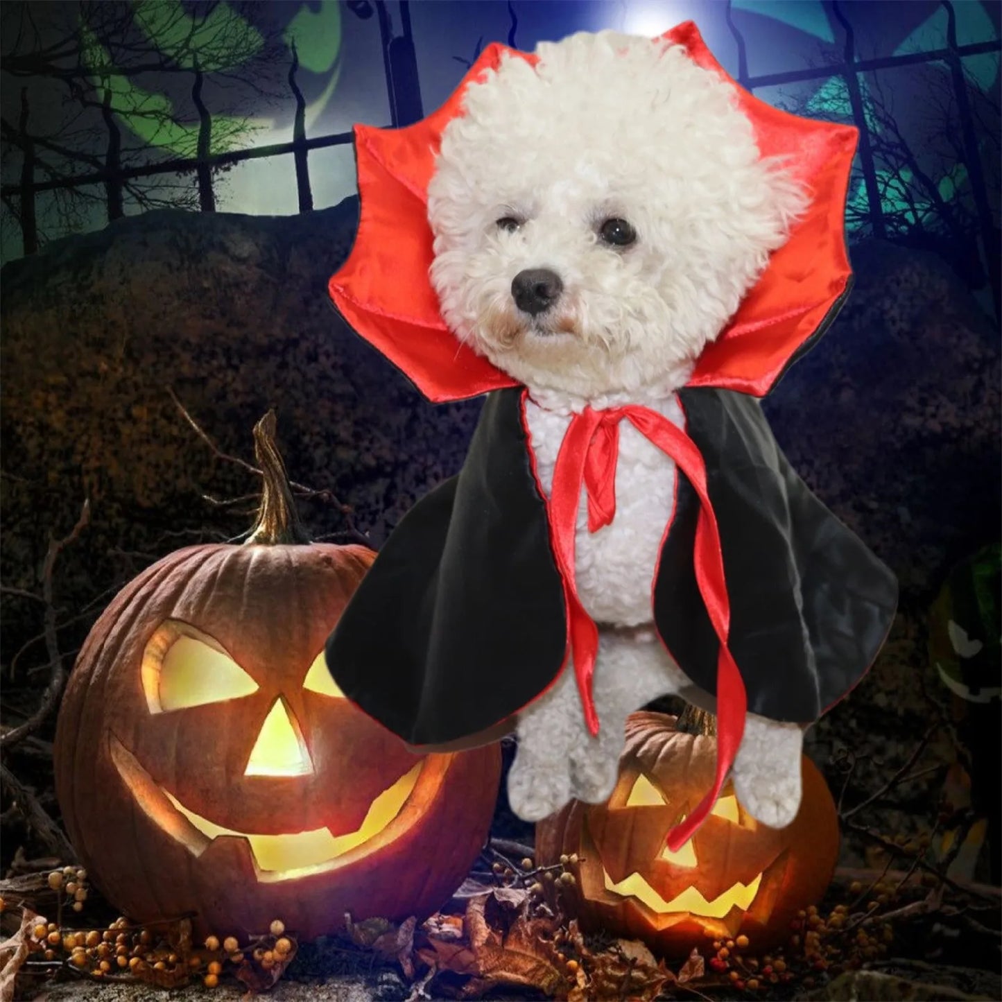Cute Halloween Pet Costumes Cosplay Vampire Cloak
