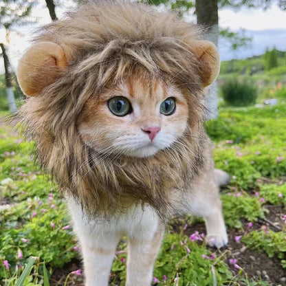 Pet Lion Wig Cap Costume