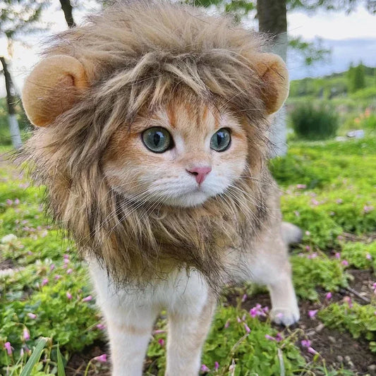 Pet Lion Wig Cap Costume