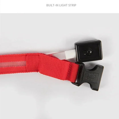 LED Dog Collar – Adjustable Rechargeable Glowing Night Safety Collar