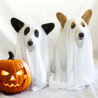 Pet Halloween Ghost Costume