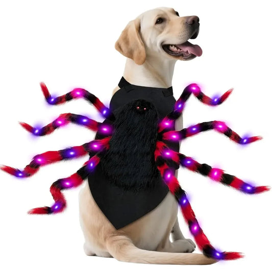 Luminous Pet Spider Halloween Costume