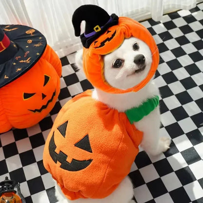 Halloween Pumpkin Costume for Dogs & Cats – Funny Outfit with Hat