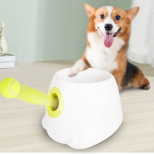 Automatic Dog Ball Launcher – Fun Tennis Thrower for Small Pets