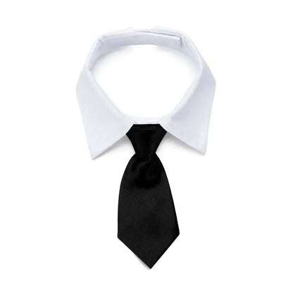 Pet  Formal Necktie