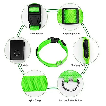 LED Dog Collar – Adjustable Rechargeable Glowing Night Safety Collar