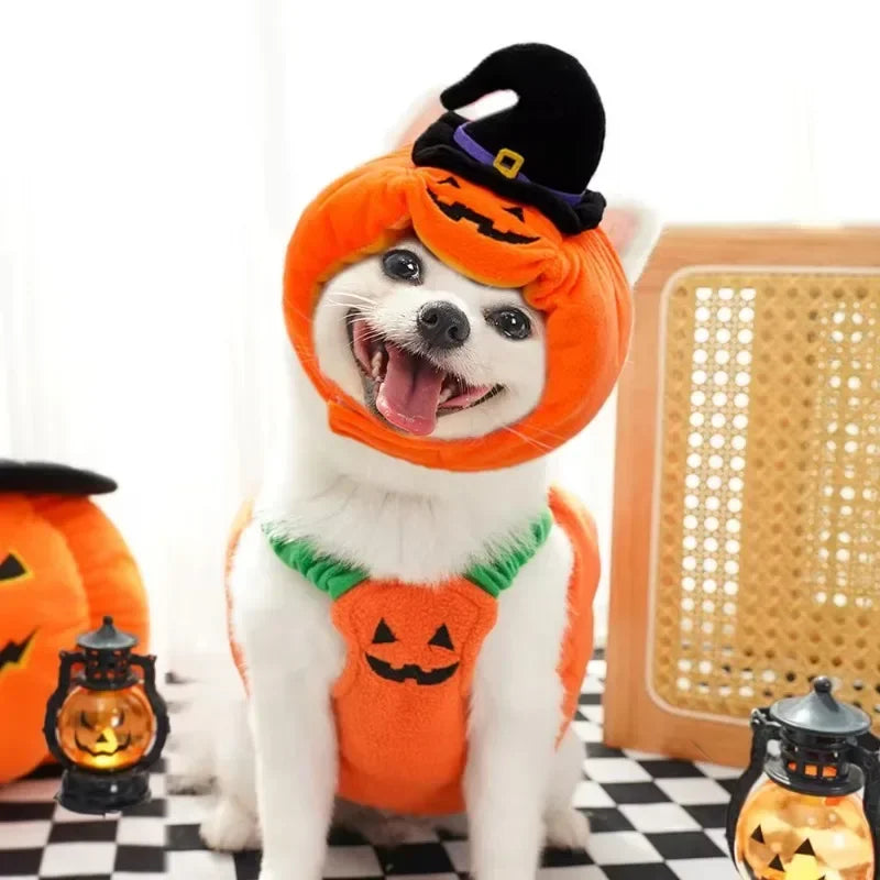 Halloween Pumpkin Costume for Dogs & Cats – Funny Outfit with Hat
