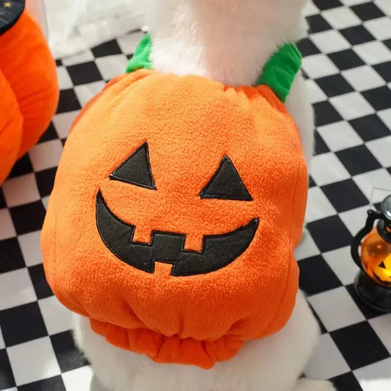 Halloween Pumpkin Costume for Dogs & Cats – Funny Outfit with Hat