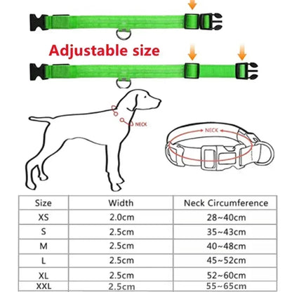 LED Dog Collar – Adjustable Rechargeable Glowing Night Safety Collar