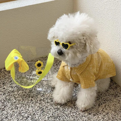 Pet Eye-Wear – Stylish Pet Sunglasses for Parties & Photoshoots