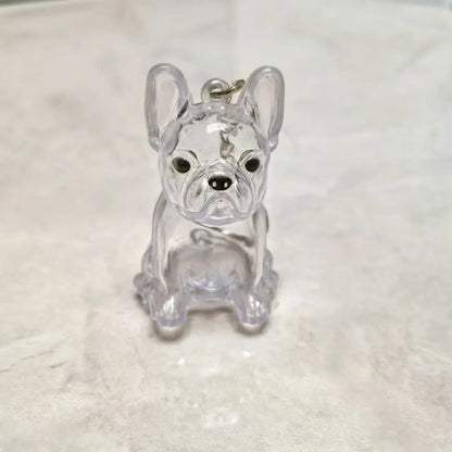 Dog & Cat Fur Keychain – Capsule Pendant for Pet Keepsakes