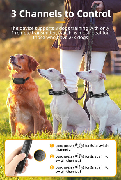 Dog Training Collar – Rechargeable Remote Control & IPX7 Waterproof