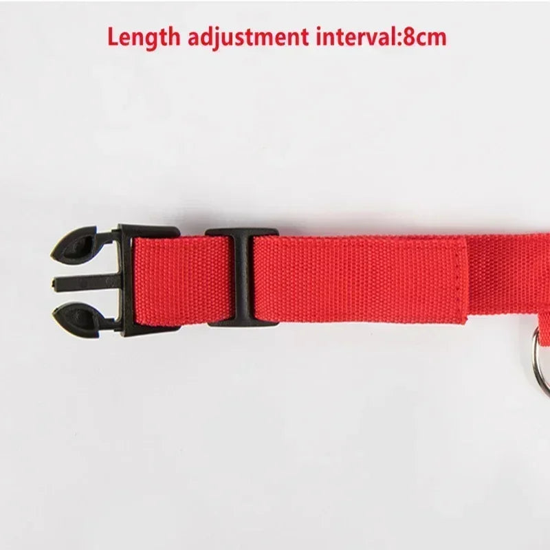 LED Dog Collar – Adjustable Rechargeable Glowing Night Safety Collar