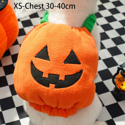 Halloween Pumpkin Costume for Dogs & Cats – Funny Outfit with Hat