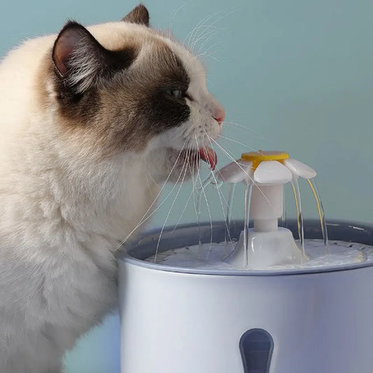 2.4L Automatic Pet Water Fountain – LED Cat & Dog Dispenser with Filters